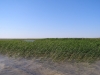 P6110246