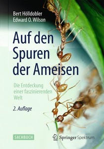 Wissen_Ameisen